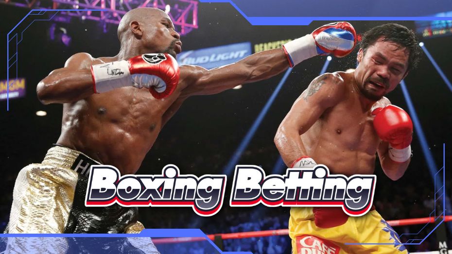 BK8 Boxing Betting