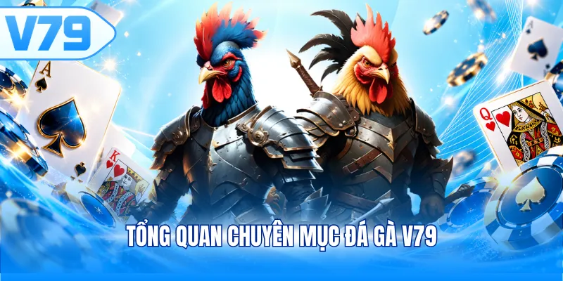 Tổng quan chuyên mục đá gà V79